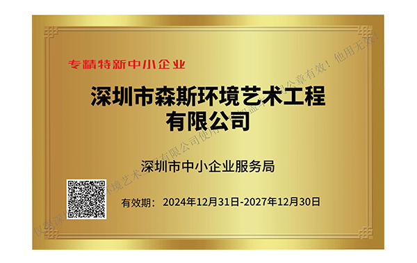 深圳市專精特新中小企業(yè)